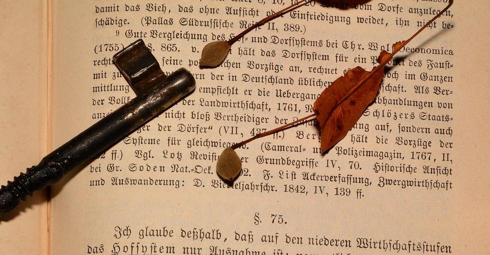 Unterhaltung in Büchern